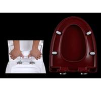 Red Toilet Seat Oval/U Shape/V Shape Toilet Lid with Quick Release for Easy Cleaning,Heavy Duty Loo Seat Cover,Universal Fit for Amen Standard Toilets (V Shape-A) (V ShapeC)