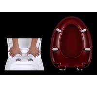 Red Toilet Seat Oval/U Shape/V Shape Toilet Lid with Quick Release for Easy Cleaning,Heavy Duty Loo Seat Cover,Universal Fit for Amen Standard Toilets (V Shape-A) (V ShapeB)