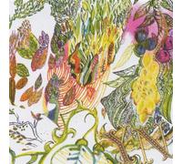 Red Train Graphing the Sunset