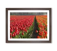 Red Tulip Field Flowers Landscape Modern Framed Print | A3 Walnut Framed Wall Art | Ready to Hang | Modern Floral Picture | Living Room Bedroom Lounge Office