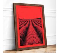 Red Tulips at Dusk Modern Framed Wall Art Print A2 (59.4×42cm) Walnut, Wall Decor for Living Room, Bedroom, Office & Home, Ready to Hang, Art Gift