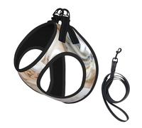 Red White Marble Pattern Print Reflective Pet Leash Vest For Small Dogs & Cats, Adjustable Outdoor Walking Hiking Vest