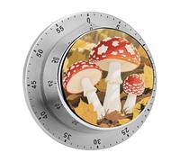 Red White Mushroom Kitchen Timer 60 Minute Visual Wind Up Timers Indoor Mechanical Timers with Magnetic Base Stainless Steel Timer for Home Cooking Time Management Tool