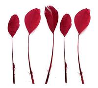 Red Wine Stripped Coque Style Feathers x 5 - Fascinators, weddings - 6 inches approx by GC