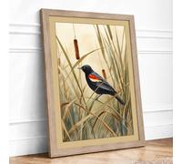 Red-Winged Blackbird Botanical Framed Wall Art Print A1 (84.1×59.4cm) Oak, Wall Decor for Living Room, Bedroom, Office & Home, Ready to Hang, Art Gift
