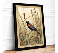Red-Winged Blackbird Botanical Framed Wall Art Print A4 (29.7×21cm) Black, Wall Decor for Living Room, Bedroom, Office & Home, Ready to Hang, Art Gift