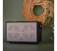 RED5 40W Amp Speaker
