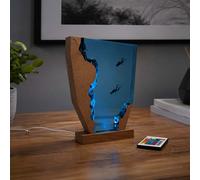 RED5 Colour Changing Resin Diver Lamp