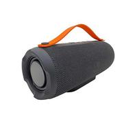 Red5 Wireless Boom Speaker 10 W Powerhouse for Musical Adventures