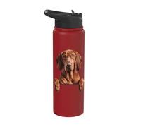 Redbone Coonhound Cute Peeking Dog Lover Stainless Steel Insulated Water Bottle