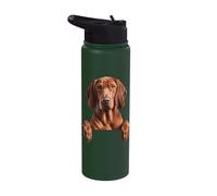 Redbone Coonhound Cute Peeking Dog Lover Stainless Steel Insulated Water Bottle