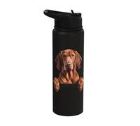 Redbone Coonhound Cute Peeking Dog Lover Stainless Steel Insulated Water Bottle