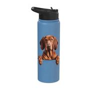 Redbone Coonhound Cute Peeking Dog Lover Stainless Steel Insulated Water Bottle