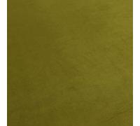 Redbrick Mill Fabrics Designer Soft Plush Plain Glossy Velvet Modern Upholstery Curtain Furnishing Fabrics in Green Colour (10cm x 8cm Sample)