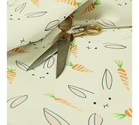 Redbrick Mill Fabrics White Bunny Rabbit Orange Carrot Pattern Printed Velour Velvet Upholstery Fabric (Per Metre)