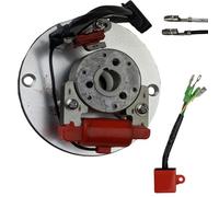 RedCap Magneto Coil Stator Inner Rotor Kit for 50cc-125cc XR50 CRF50 CRF70 Z50 Dirt Pit Bike Compatible with XR/CRF 50 70 BBR SDG SSR Coolster Thumpstar Sikk MX Chinese Horizontal Kick Start Engines