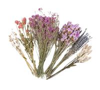 Redding Flower Hamster Decorative Gerbil Cage Accessories, Natural Dried Floral Theme Bedding | Small Animal Cage Decor, Comfortable Bedding Habitat for