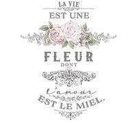 Redesign with Prima Decor Transfers L'Amour Est Le Miel 27"x36" Wall Decals DIY Wallpaper Wall Stickers Murals Decor for Kitchen Living Room Bedroom Bathroom Nightstands Table Décor