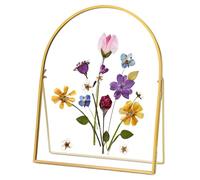 REDHUGO Double Glass Frame for Pressed Flowers Handmade, Metal Floating Picture Frame for Pressed Flower, Tabletop Display, Brass, Arch Shaped, Gold,8x10 inches (FRAME ONLY)