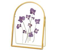 REDHUGO Double Glass Frame for Pressed Flowers Handmade, Metal Floating Picture Frame for Pressed Flower, Tabletop Display, Brass, Arch Shaped, Gold, 5X7 inches (FRAME ONLY)