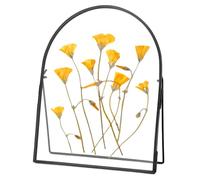 REDHUGO Double Glass Frame for Pressed Flowers Handmade, Metal Floating Picture Frame for Pressed Flower, Tabletop Display, Brass, Arch Shaped, Black, 8x10 inches (FRAME ONLY)