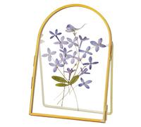 REDHUGO Double Glass Frame for Pressed Flowers Handmade, Metal Floating Picture Frame for Pressed Flower, Tabletop Display, Brass, ArcShaped, Gold, 4x6 inches (FRAME ONLY)