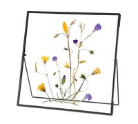 REDHUGO Double Glass Frame for Pressed Flowers, Square, Black, 10x10 Inches | Handmade, Tabletop Photo Frame for Floating Picture and Flower Press, Simple, Metal Geometric