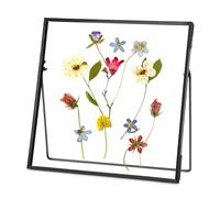 REDHUGO Double Glass Frame for Pressed Flowers, Square, Black, 6x6 Inches | Handmade, Tabletop Photo Frame for Floating Picture and Flower Press, Simple, Metal Geometric