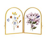 REDHUGO Glass Double Press Flower Frame ArcShaped