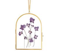 REDHUGO Glass Pressed Flower Frame Handmade, Arc-Shaped Double Glass Wall Hanging Floating Frame for Dried Flowers Poster Home Decor