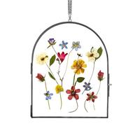 REDHUGO Glass Pressed Flower Frame Handmade, Arc-Shaped Wall Hanging Floating Frame for Dried Flowers Home Decor