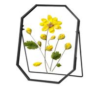 REDHUGO Glass Pressed Flower Frame Handmade, Metal Floating Picture Frame, Double Glass Frame for Pressed Flowers Tabletop Display Unique Brass Frame, Octagon (FRAME ONLY)