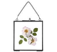 REDHUGO Glass Pressed Flower Frames,Vintage Hanging Picture Frames with Chain,Handmade Brass Floating Picture Frame,Plant Specimen Wall Ornament Display DIY Family Photo,Square,Black