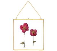 REDHUGO Glass Pressed Flower Frames,Vintage Hanging Picture Frames with Chain,Handmade Brass Floating Picture Frame,Plant Specimen Wall Ornament Display Artwork DIY Family Photo,Square,Gold