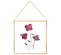 REDHUGO Glass Pressed Flower Frames,Vintage Hanging Picture Frames with Chain,Handmade Brass Floating Picture Frame,Plant Specimen Wall Ornament Display Artwork DIY Family Photo,Square,Gold
