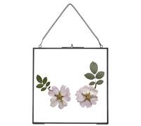 REDHUGO Glass Pressed Flower Frames,Vintage Hanging Picture Frames with Chain,Handmade Brass Floating Picture Frame,Plant Specimen Wall Ornament Display DIY Family Photo,Square,Black