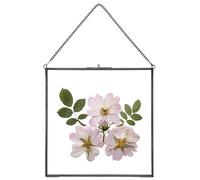 REDHUGO Glass Pressed Flower Frames,Vintage Hanging Picture Frames with Chain,Handmade Brass Floating Picture Frame,Plant Specimen Wall Ornament Display DIY Family Photo,Square,Black