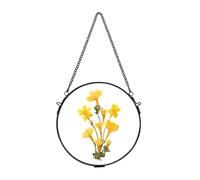 REDHUGO Handmade Brass Floating Frame for Pressed & Dried Flowers, Round Picture, Wall Hanging - Black, φ6.29 inches