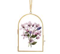 REDHUGO Handmade Glass Frame for Pressed Flowers - Arc Shaped Double Glass Picture Frame for Wall Hanging and Home Decor