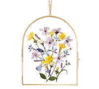 REDHUGO Handmade Glass Frame for Pressed Flowers - Arc-Shaped Double Glass Picture Frame for Wall Hanging Home Decor