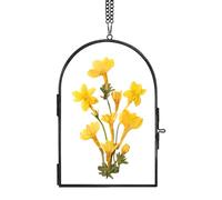 REDHUGO Handmade Glass Frame for Pressed Flowers, Arc-Shaped Wall Hanging Floating Frame for Dried Flowers and Posters