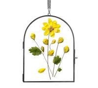 REDHUGO Handmade Glass Pressed Flower Frame, Arc-Shaped Wall Hanging Double Glass Frame for Dried Flowers & Posters