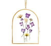 REDHUGO Handmade Glass Pressed Flower Frame, Arc-Shaped Wall Hanging Floating Frame for Dried Flowers and Posters