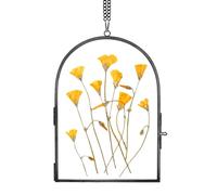 REDHUGO Handmade Pressed Flower Frame, Arc-Shaped Glass Wall Hanging Frame for Dried Flowers Home Decor