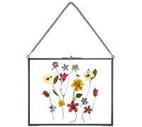 REDHUGO Hanging Pressed Flower Frame Handmade, Double Glass Picture Frame Floater frame Floating Frame for Pressed Flowers Home Wall Artwork, Rectangle Horizontal 8×10 inches, Black