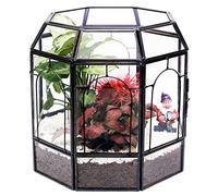 REDHUGO Large Glass Terrarium Handmade, Centerpiece Display Box Gift Planter Containers Indoor Terrariums House for Succulent Cacti Air Plants Miniature Fairy Garden