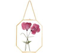 REDHUGO Pressed Flower Frames, Glass Floating Frames for Display Dried Plant Specimen Picture, Hanging Brass Photo Frame with Chain, Double Clear Glass, Vintage Wall Decor, Octagon