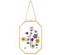 REDHUGO Pressed Flower Frames, Glass Floating Frames for Display Dried Plant Specimen Picture, Hanging Brass Photo Frame with Chain, Double Clear Glass, Vintage Wall Decor, Octagon