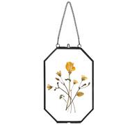 REDHUGO Pressed Flower Frames, Glass Floating Frames for Display Dried Plant Specimen Picture, Hanging Brass Photo Frame with Chain, Double Clear Glass, Vintage Wall Decor, Octagon