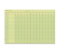 Rediform National Analysis Pad, 13 Columns, Green Paper, 11 x 16.375, 50 Sheets (45613)